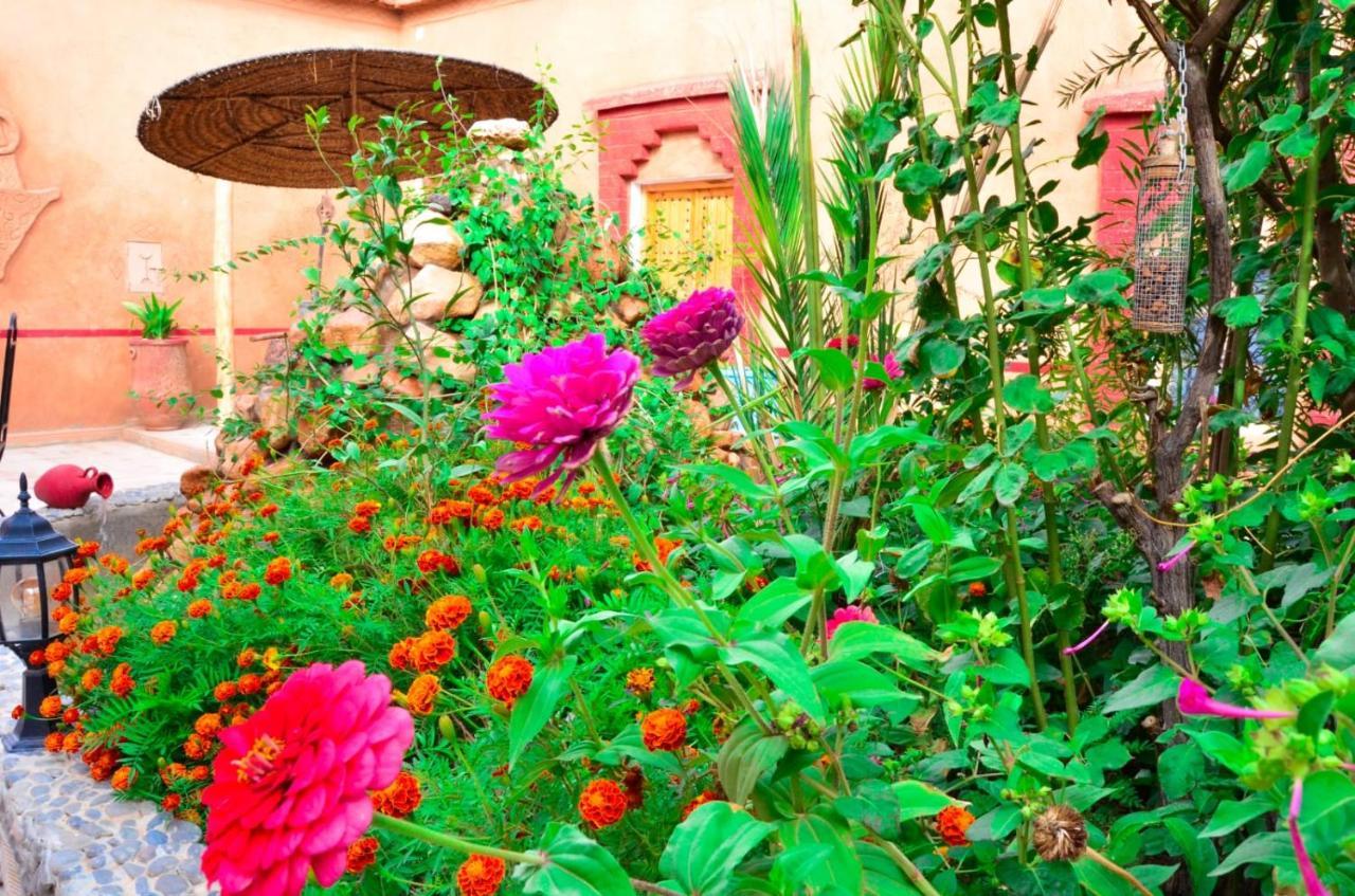 Hotel Kasbah Tussna Boumalne Zewnętrze zdjęcie